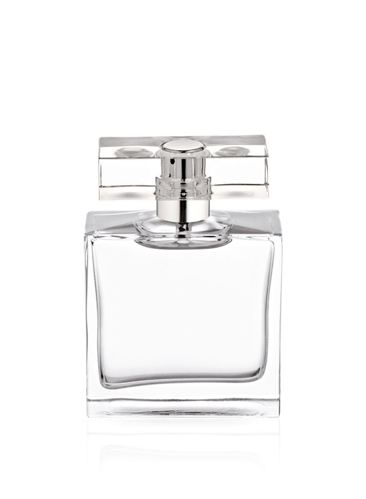 Class "grand modele" - Image 2
